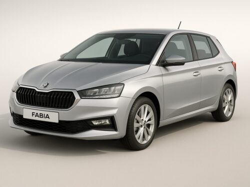 Skoda Fabia TLS Rent a Car Tunisia